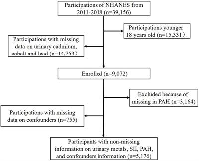 The single and mixed impacts of cadmium, cobalt, lead, and PAHs on systemic immunity inflammation index in male and female